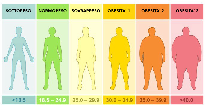 indice di massa corporea (imc)